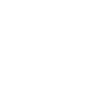 Worldcoin logo