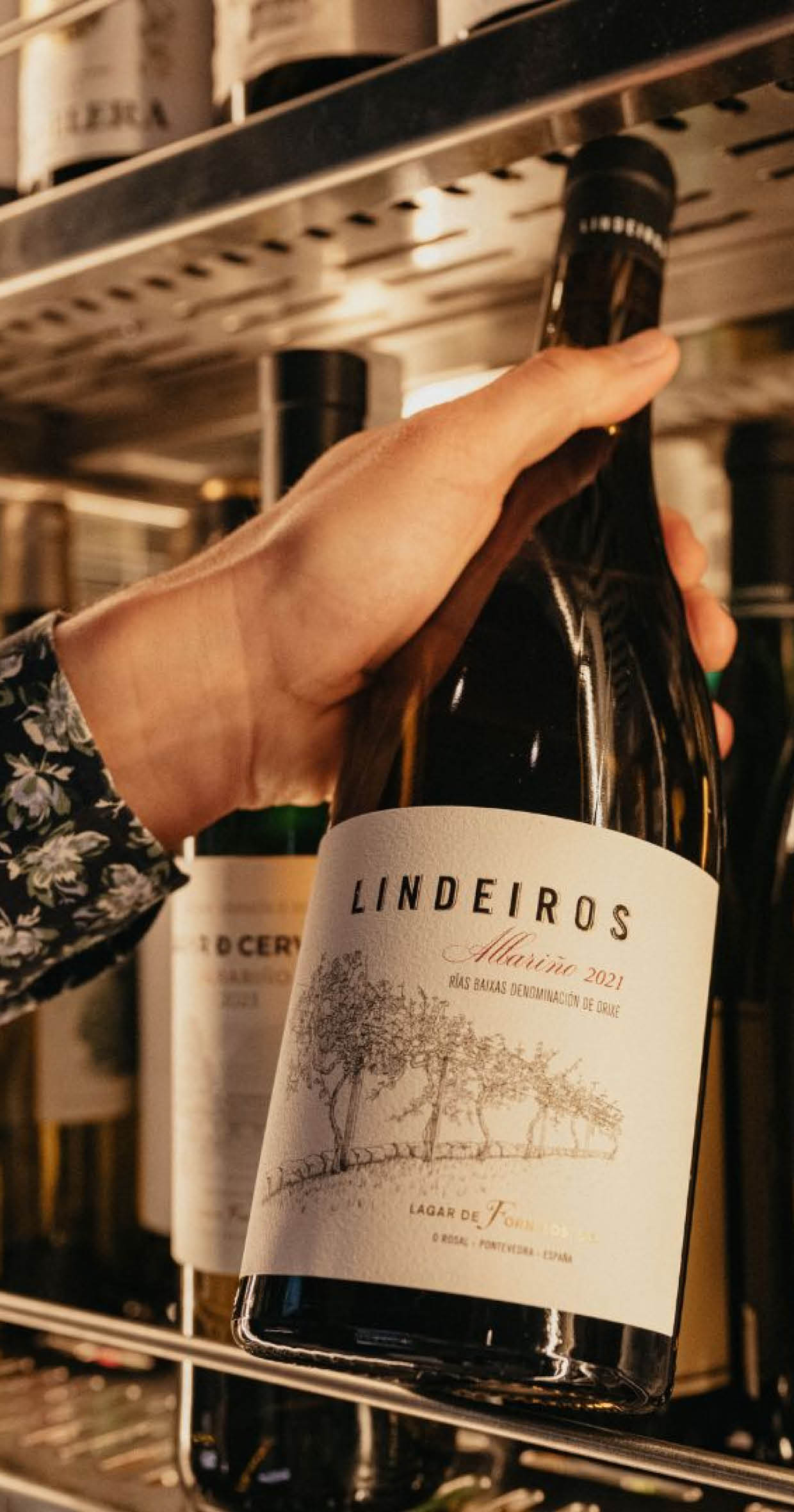 BEKIJK ALLE NIEUWE AANWINSTEN
