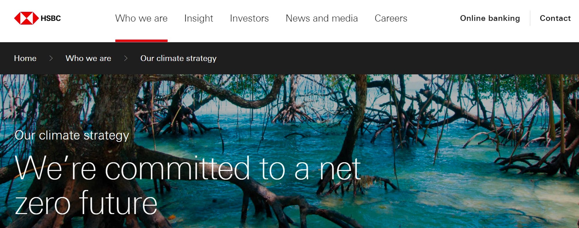 Screenshot of HSBC Website reading "We're committed to a net zero future"