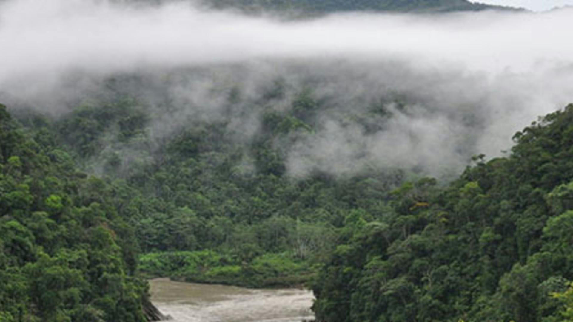 Inambari Hydroelectric Project | Bank Information Center