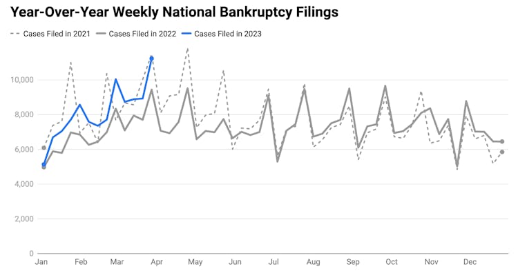 Week 13 Bankruptcy Statistics