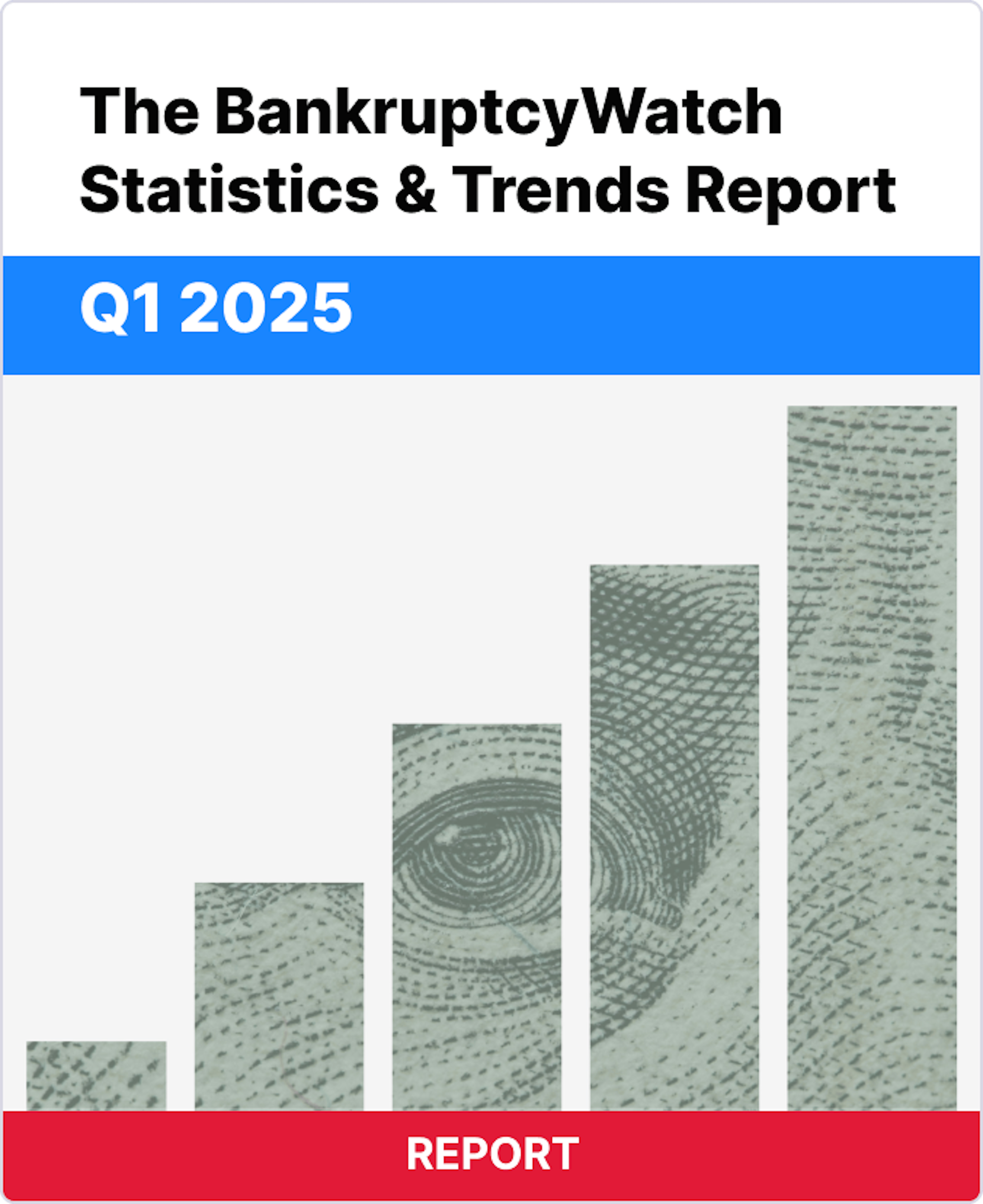 Q1 2025 Statistics Report Cover