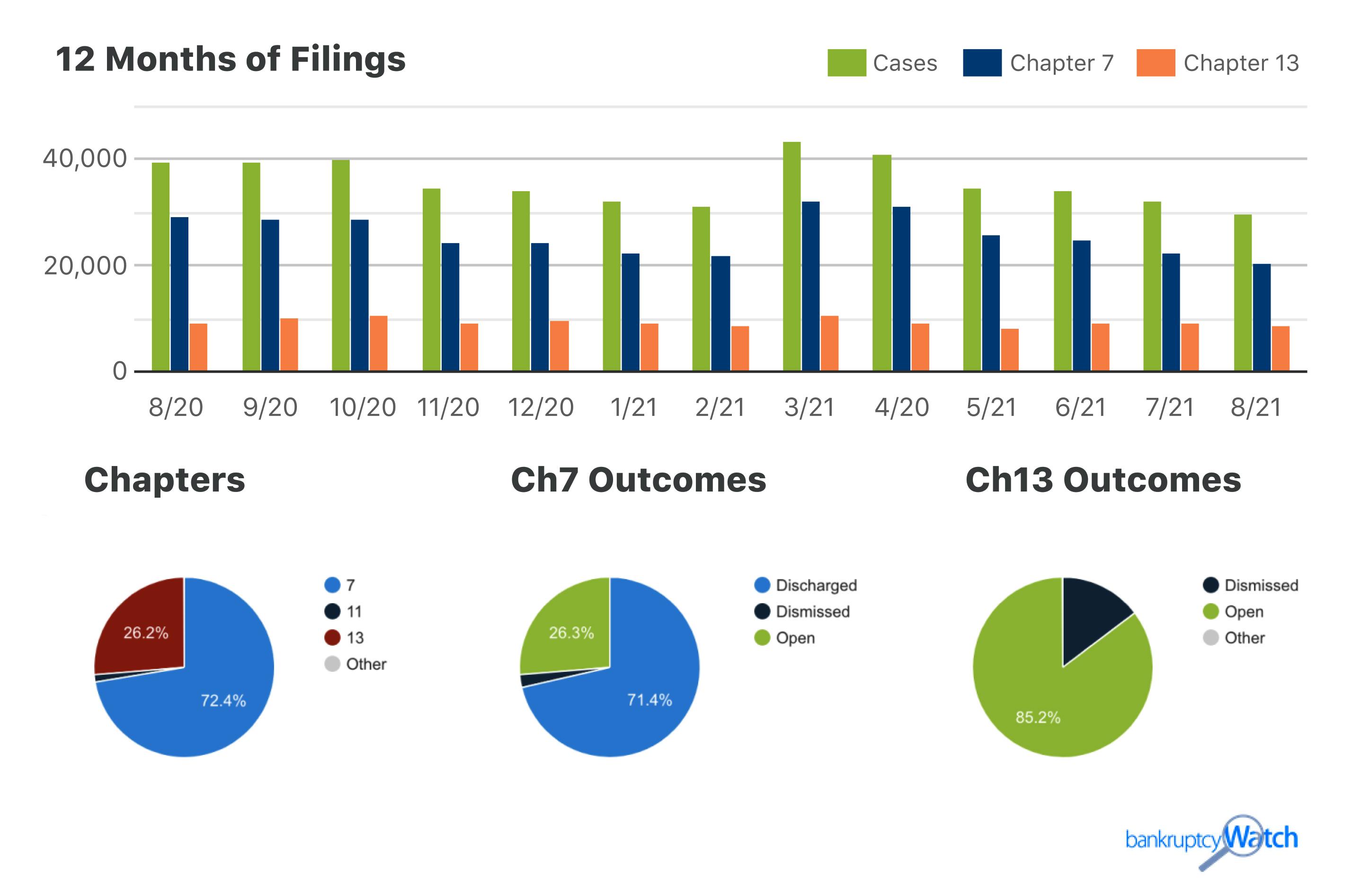 Bankruptcy report dashboard