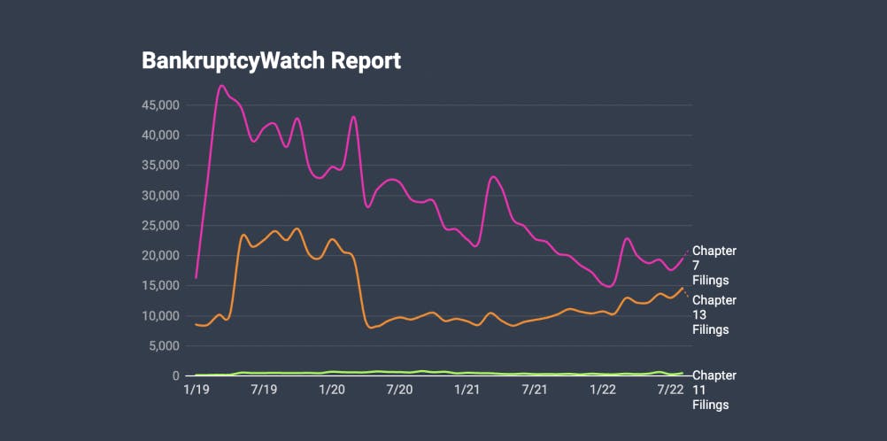 bankruptcywatch report