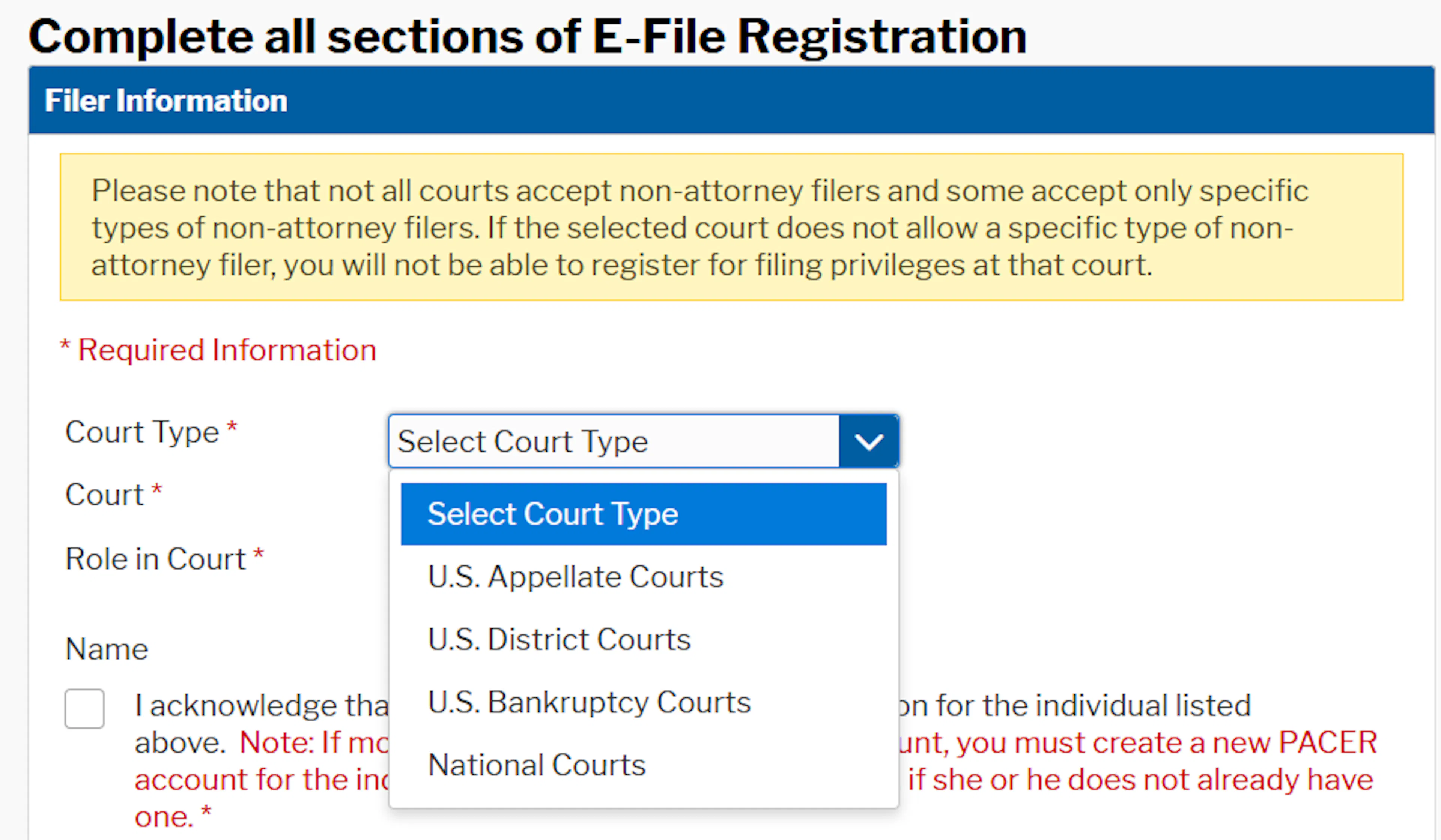 	Non-attorney e-file registration form showing the Role in Court drop-down list and required registration fields