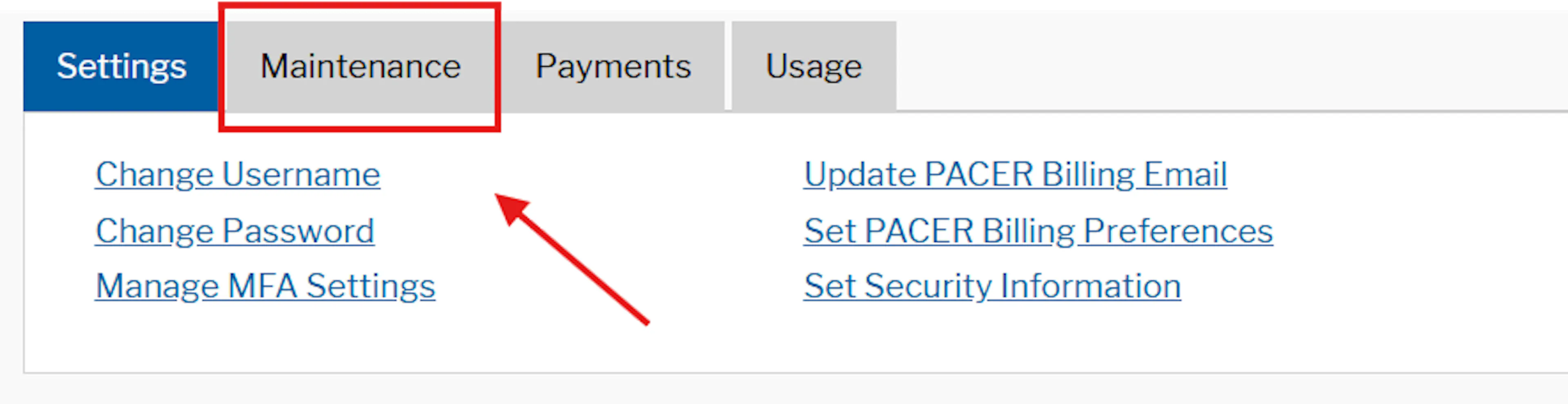 PACER account dashboard with the Maintenance tab selected