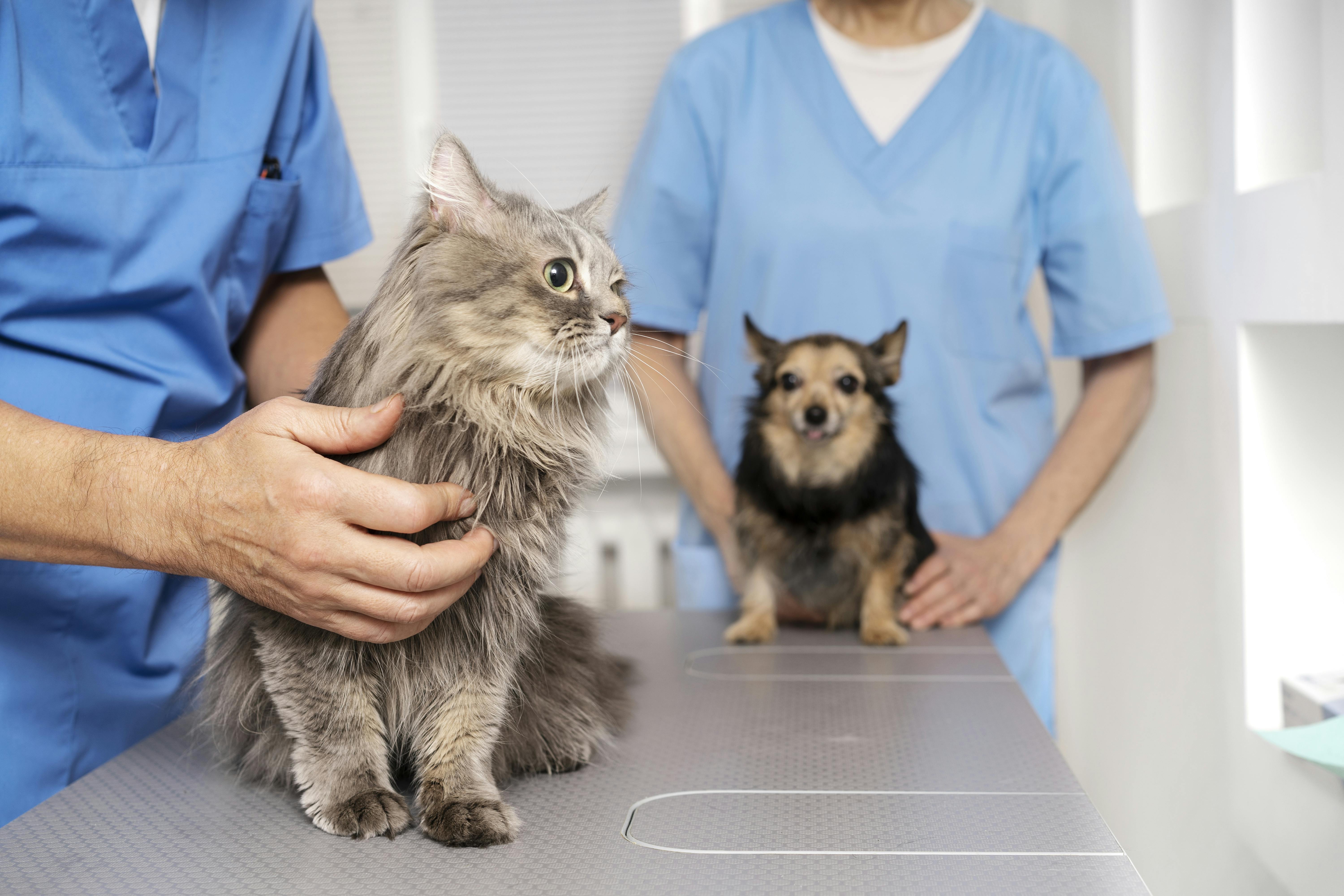 veterinarias