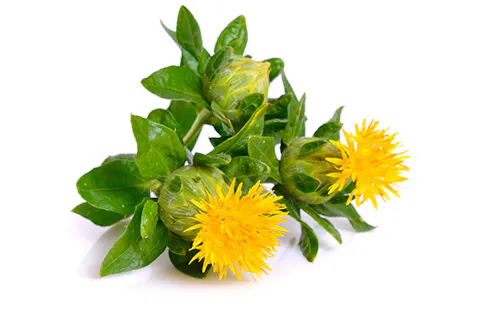 Safflower Seed Oil