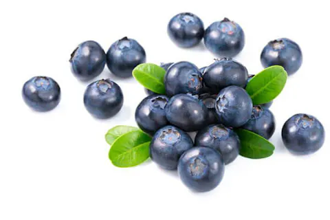 organic wild blueberry
