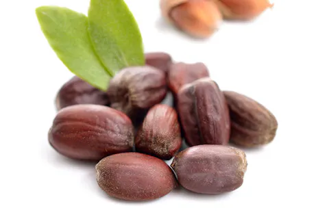 jojoba