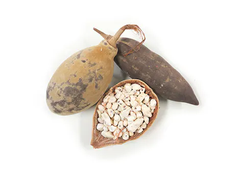 Baobab powder
