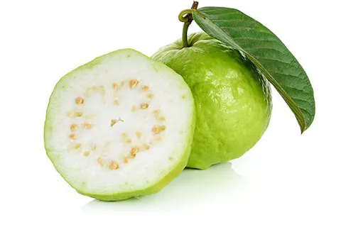 Guava Leaf Extract