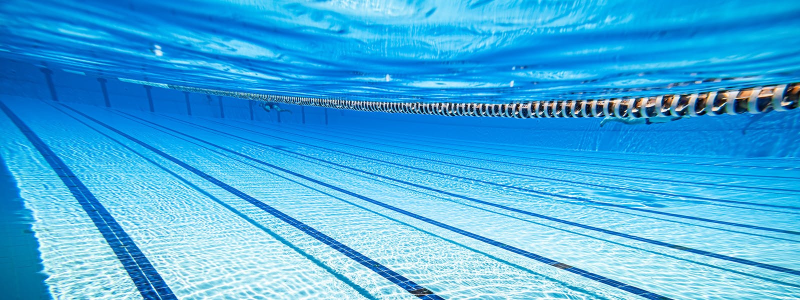 Insights from Matt Levy, Paralympian and author