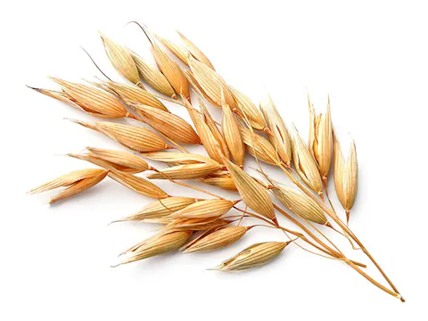 Oat beta-glucans