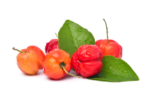 organic acerola powder