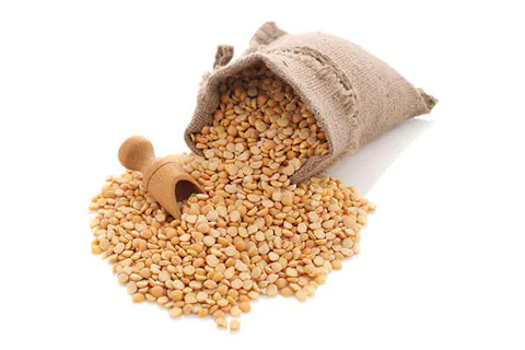 organic pea protein