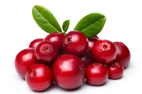organic cranberry