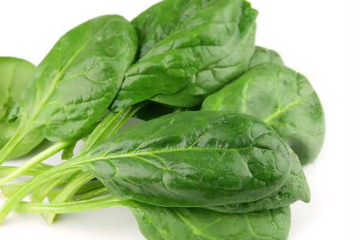 organic spinach