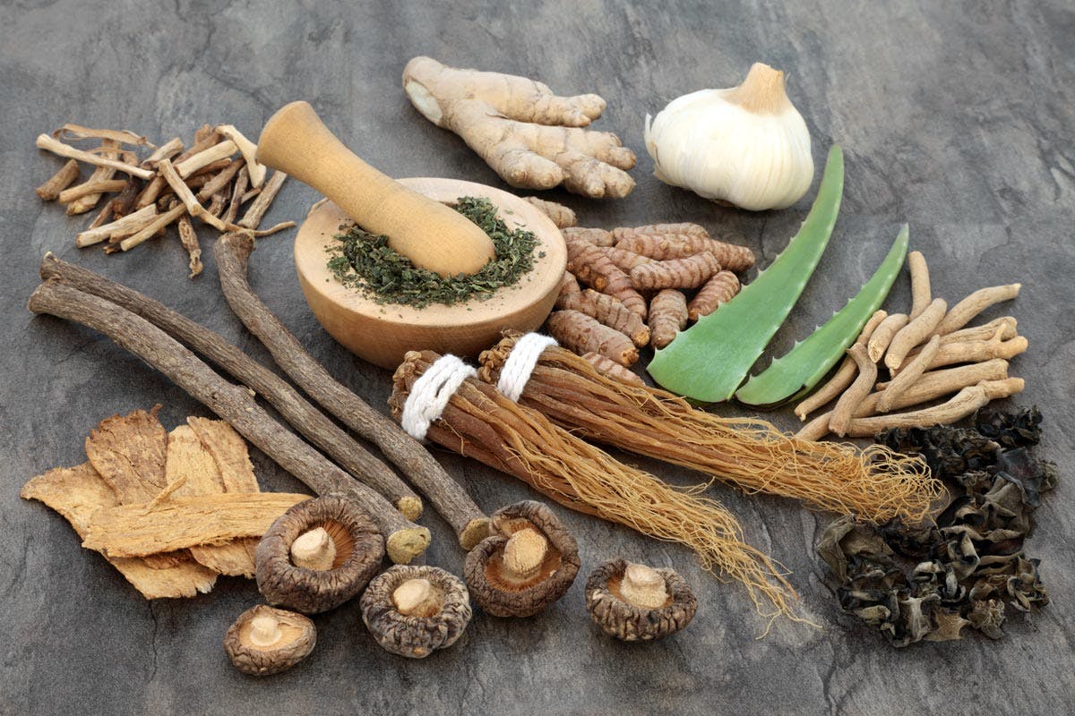 Adaptogens: What Are They And How To Use Them