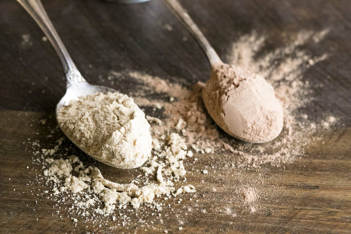whey protein and plant protein on a spoon