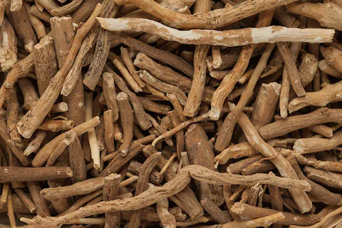 Withania somnifera (Ashwagandha)