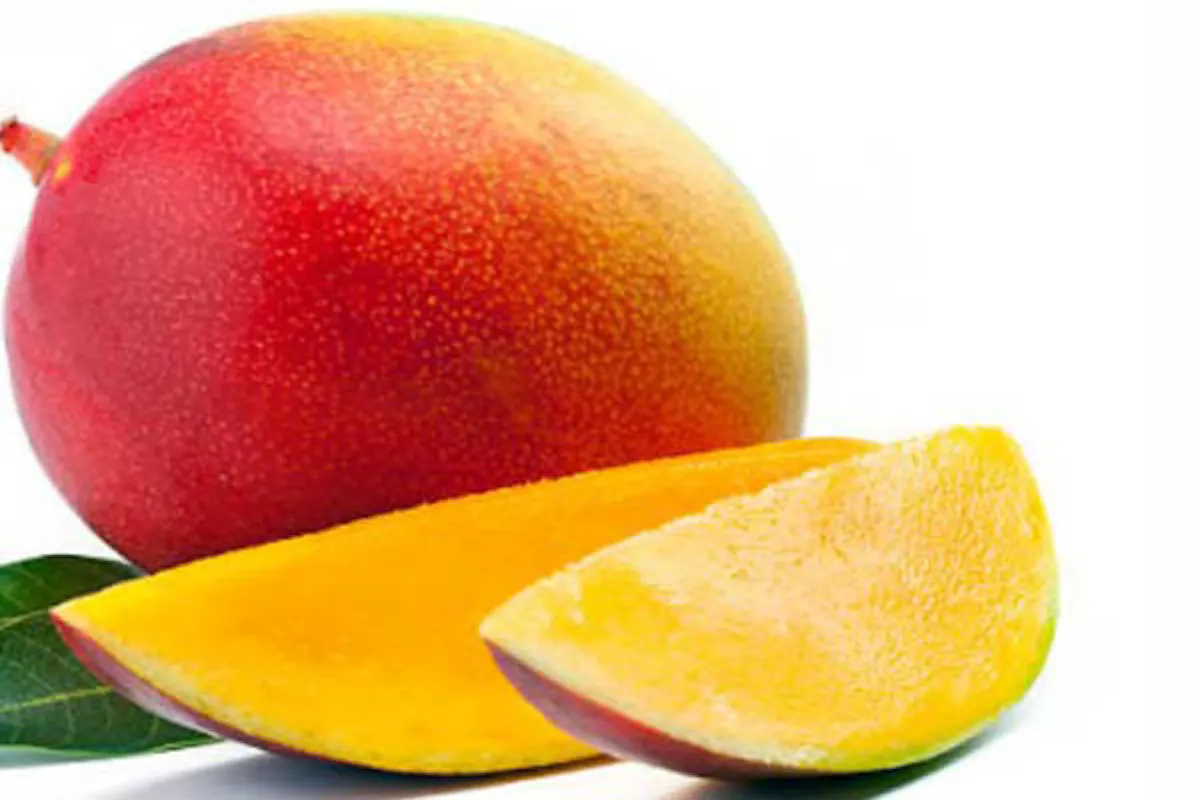 organic mango