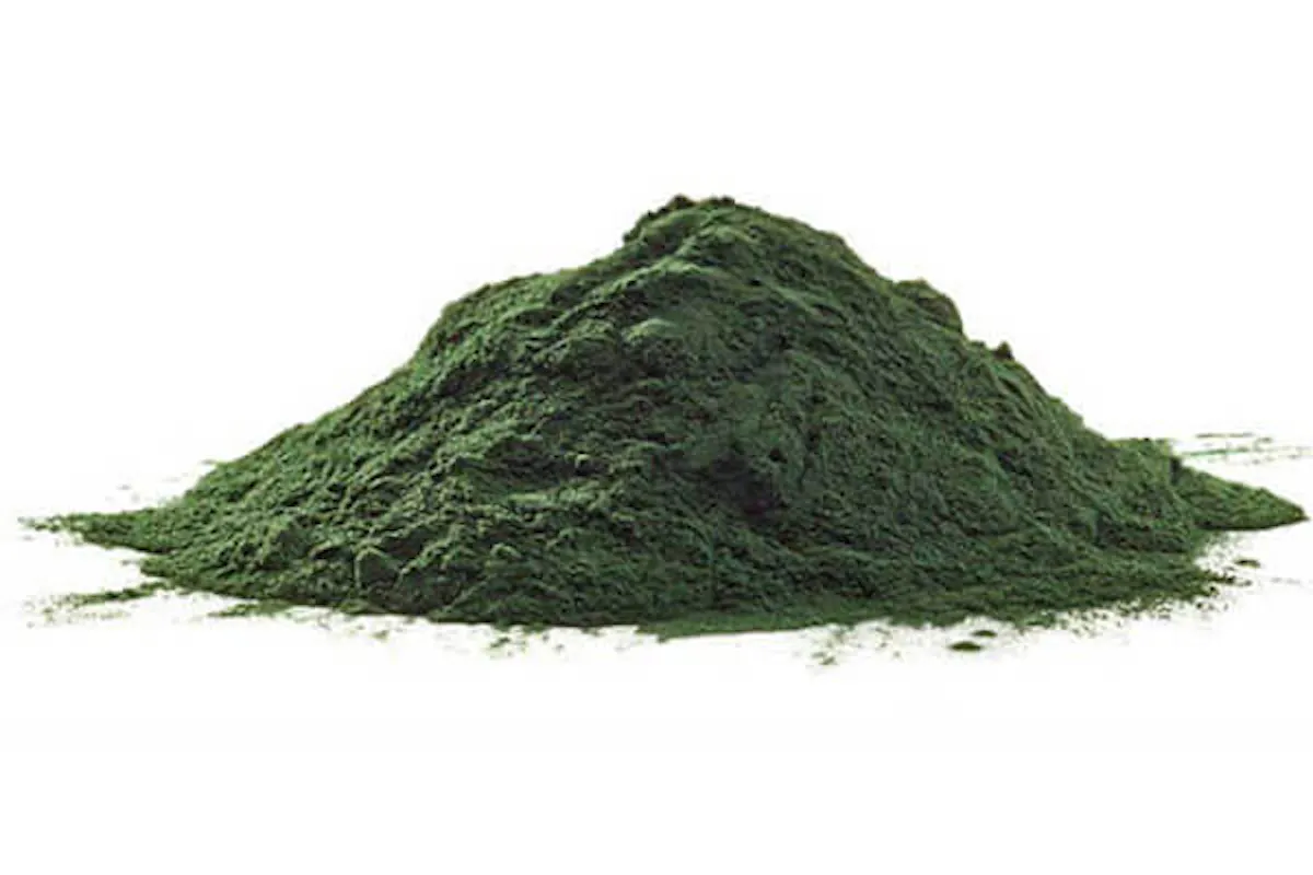 organic spirulina