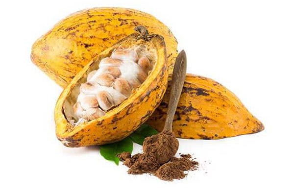 organic raw cacao