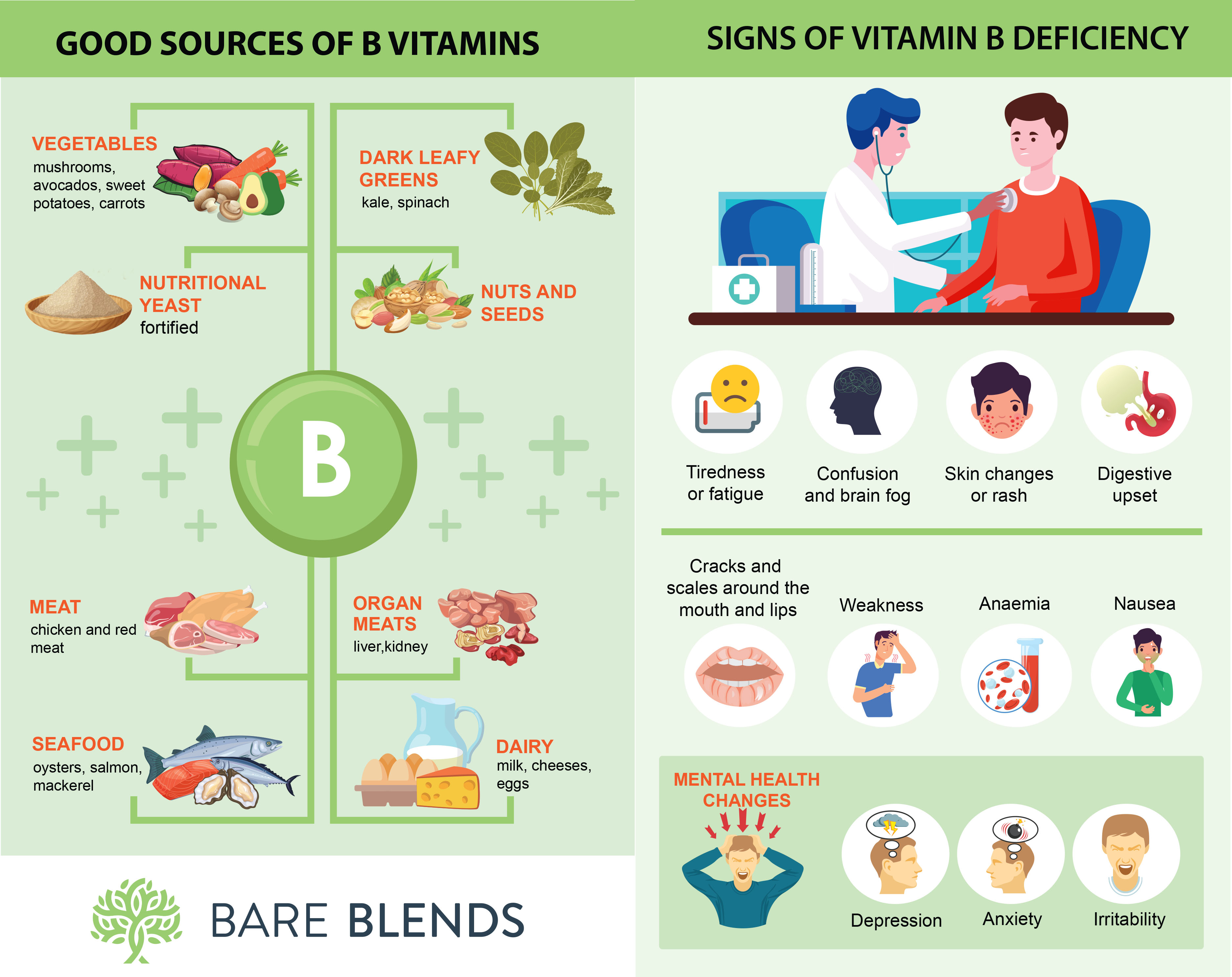 A Guide To B Vitamins: Everything You Need To Know | Bare Blends Blog