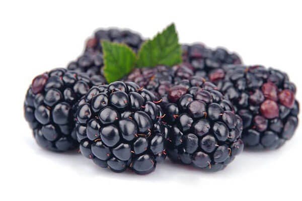 Organic Blackberry
