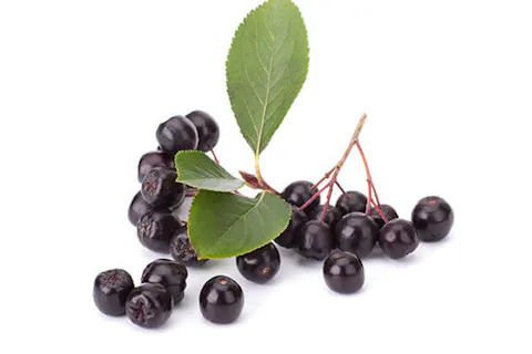 organic aronia berry