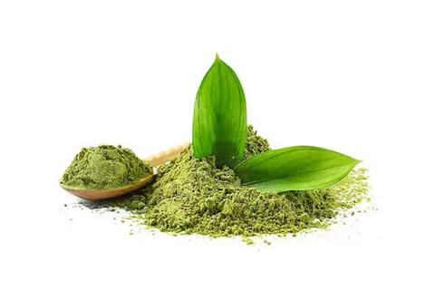 organic japanese matcha powder