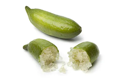 Finger Lime Extract