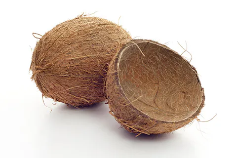 Coconut Shell Powder