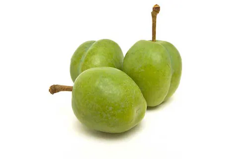 Kakadu Plum