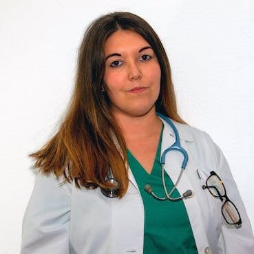 Vet