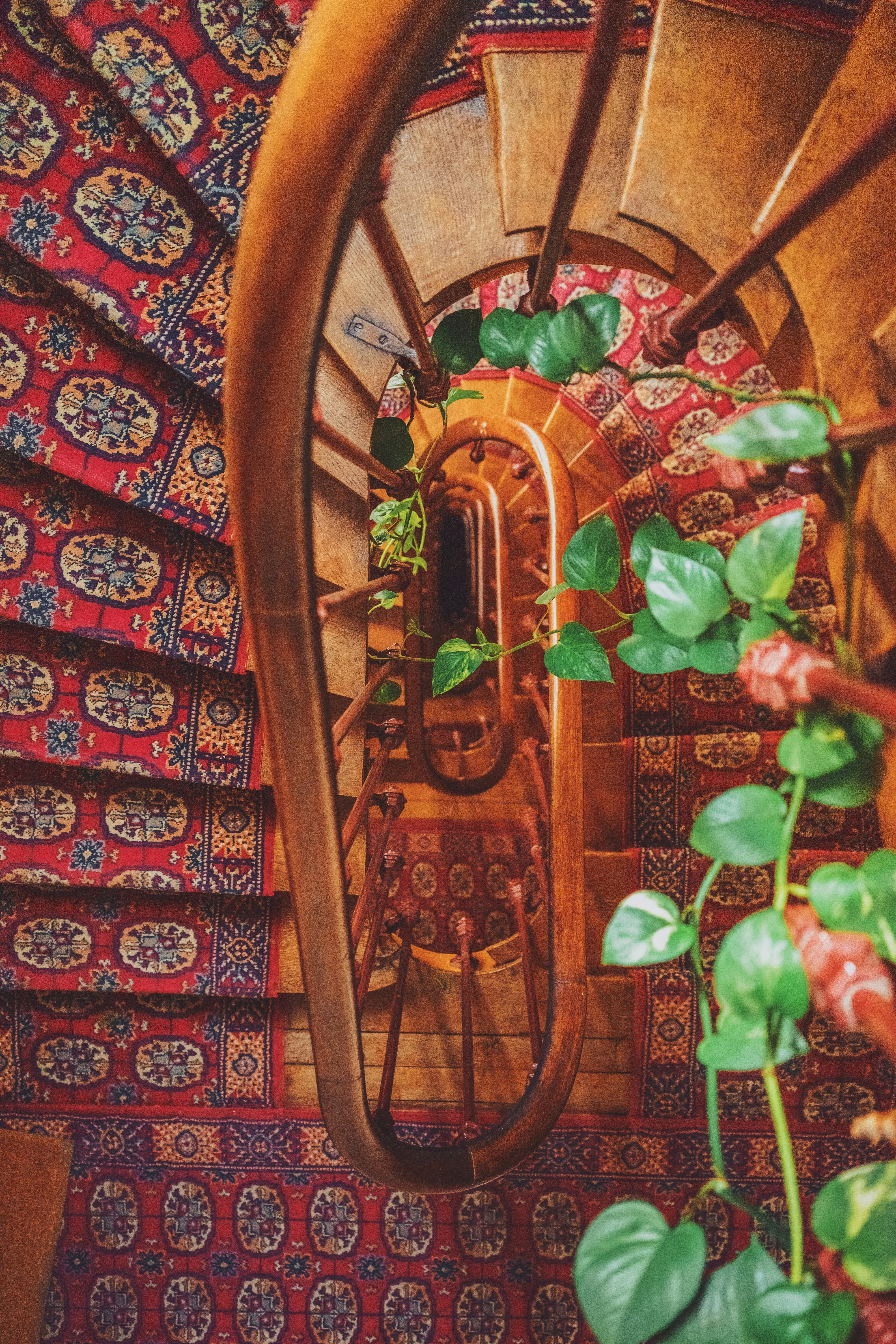 Fancy a Magic Carpet Ride?