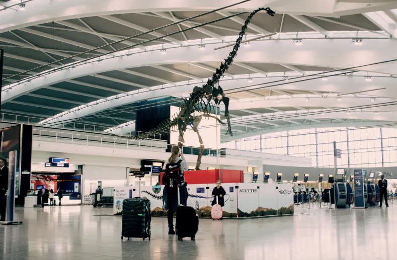 A Million Dollar Dinosaur On Display At Heathrow