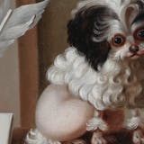 Jacques Barthélémy Delamarre, Portrait d’un petit caniche, supposé être « Pompon », un chien chéri de Marie-Antoinette, signé, huile sur toile, 24,4 x 31,4 cm. Photo © Sotheby's (détail)
