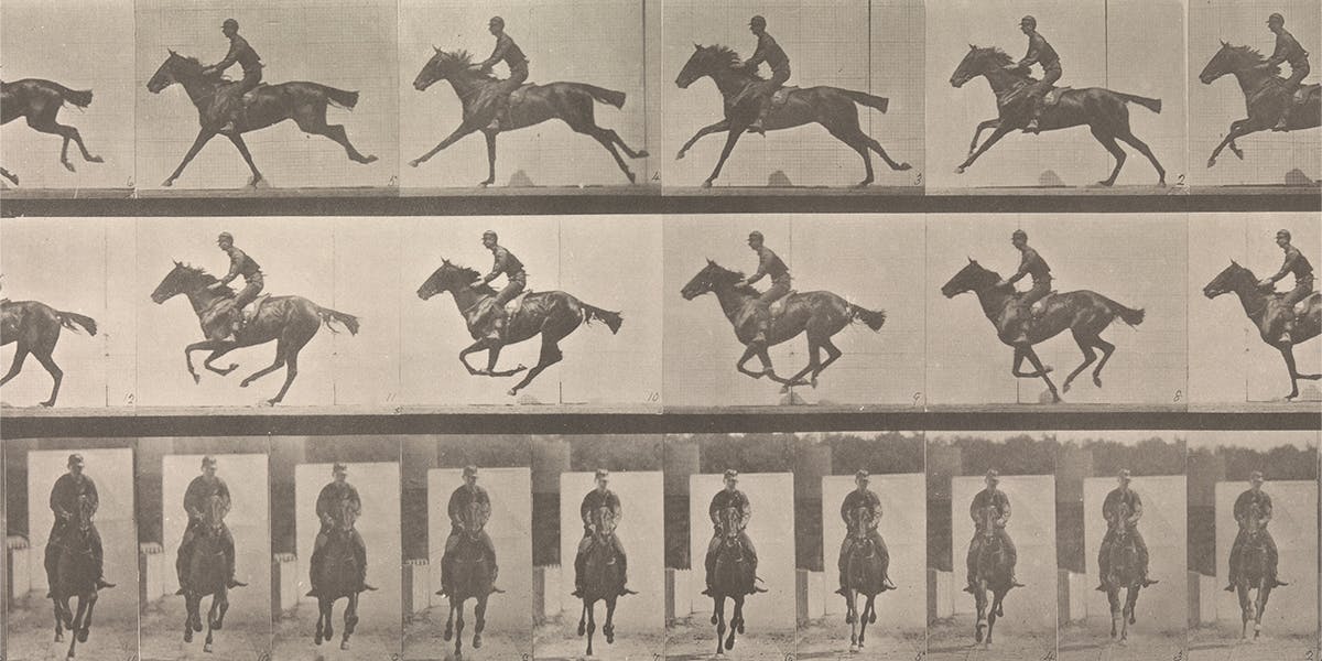 
Eadweard Muybridge (1830-1904), ‘Horse and Rider Galloping’, collotype from 1887 (detail). Photo CC0 (detail)
