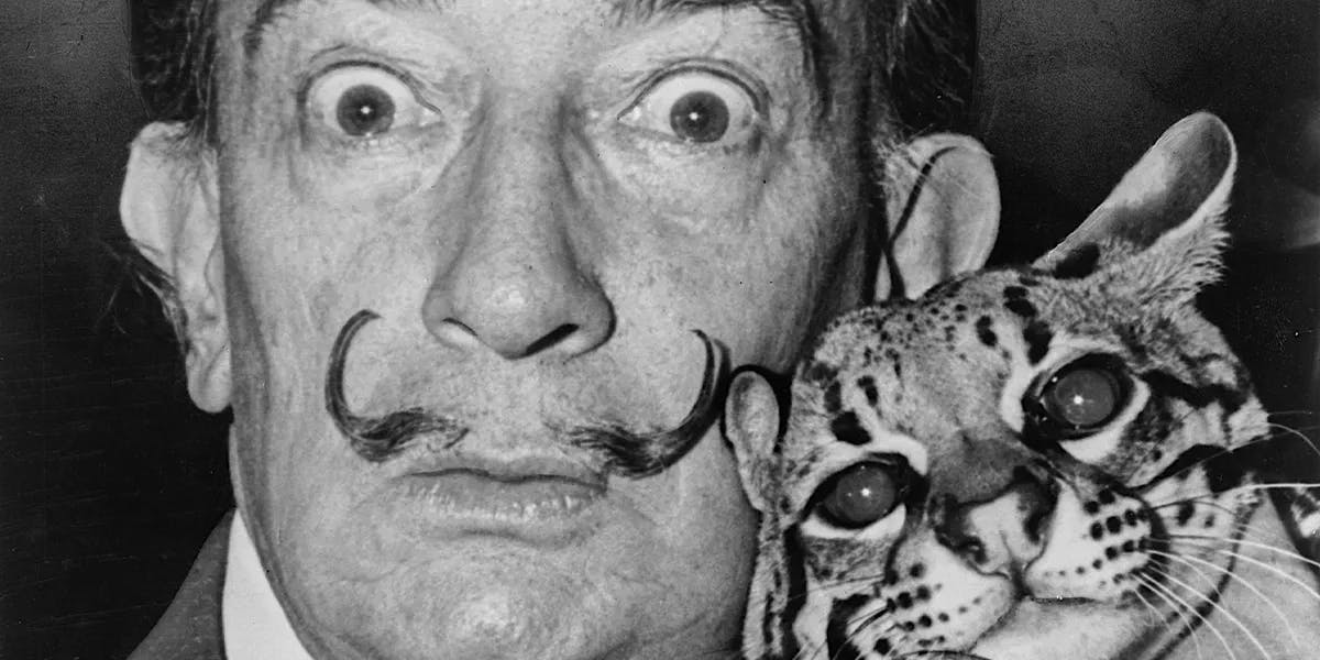Roger Higgins, Dalí and his ocelot. Photo public domain (detail)
