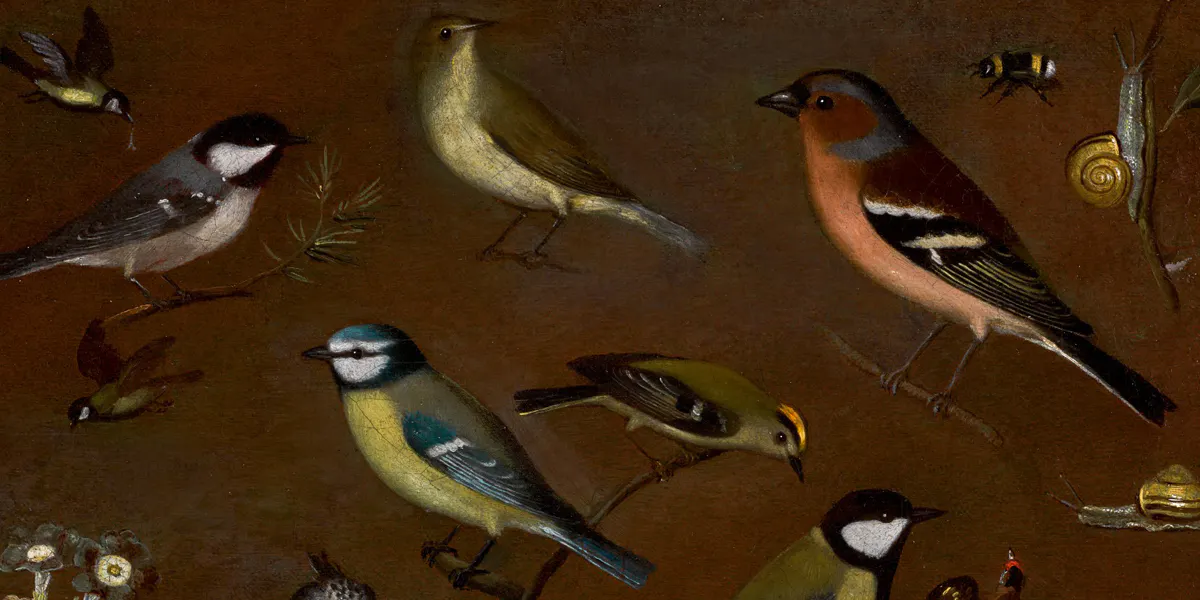 Orsola Maddalena Caccia (1596-1676), Nature morte aux oiseaux comprenant mésange des marais, pouillot véloce, pinson des arbres, mésange bleue, coq doré, vanellinae et mésange charbonnière, huile sur toile, image © Sotheby's (détail)