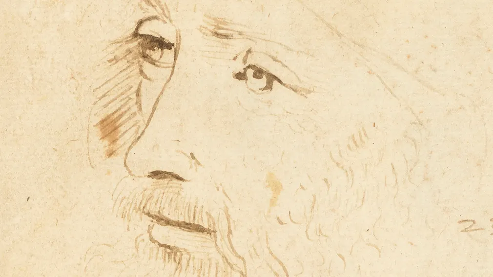 ¿Es este el rostro de Leonardo da Vinci?
