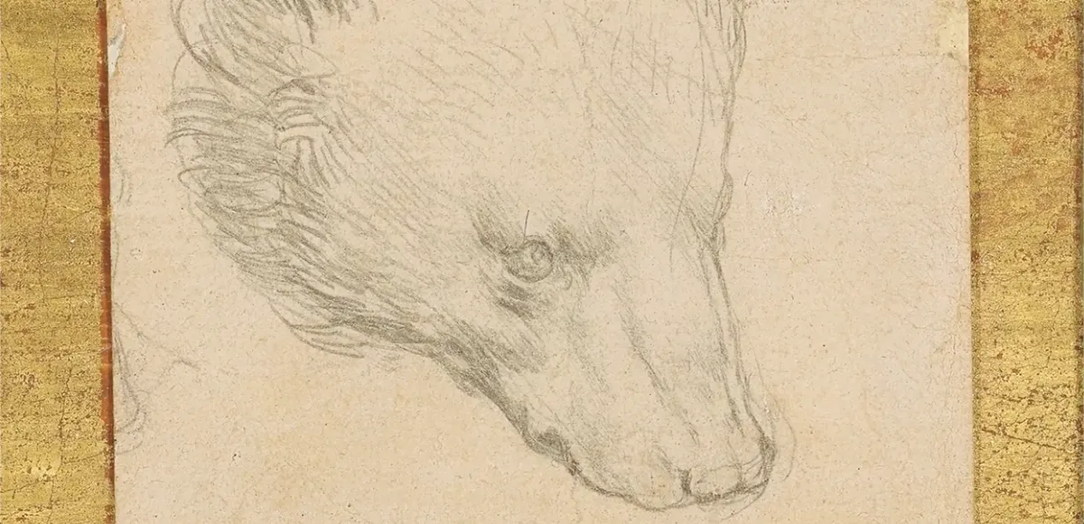 "Testa d'orso" è stato messo all'asta da Christie's l'8 luglio a un prezzo record. Foto © Christies' (dettaglio)