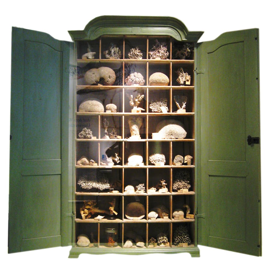 An early 18th-century German Schrank with a traditional coral display, Naturkundenmuseum, Berlin. LoKiLeCh, CC BY 3.0 License, via Wikimedia Commons