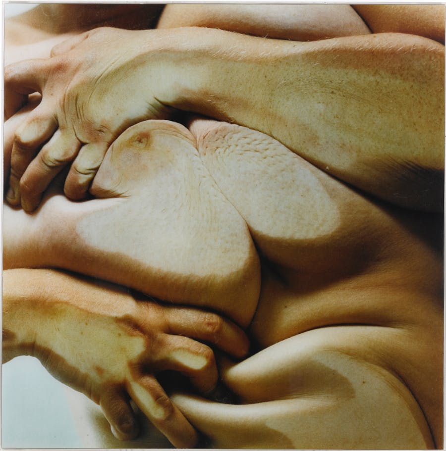Jenny Saville (1970-) and Glen Luchford (1968-), ‘Closed Contact #4’, 1995-96, c-print mounted in Plexiglas, 182.9 x 182.9 cm. Image via Sotheby’s.