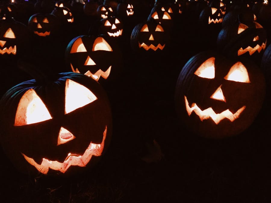 13 thrilling facts we bet you didn't know about Halloween ‹ GO