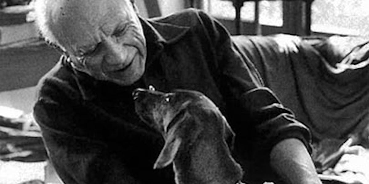 Seated Monkey Pablo Picasso Cubismo Picasso Pittore