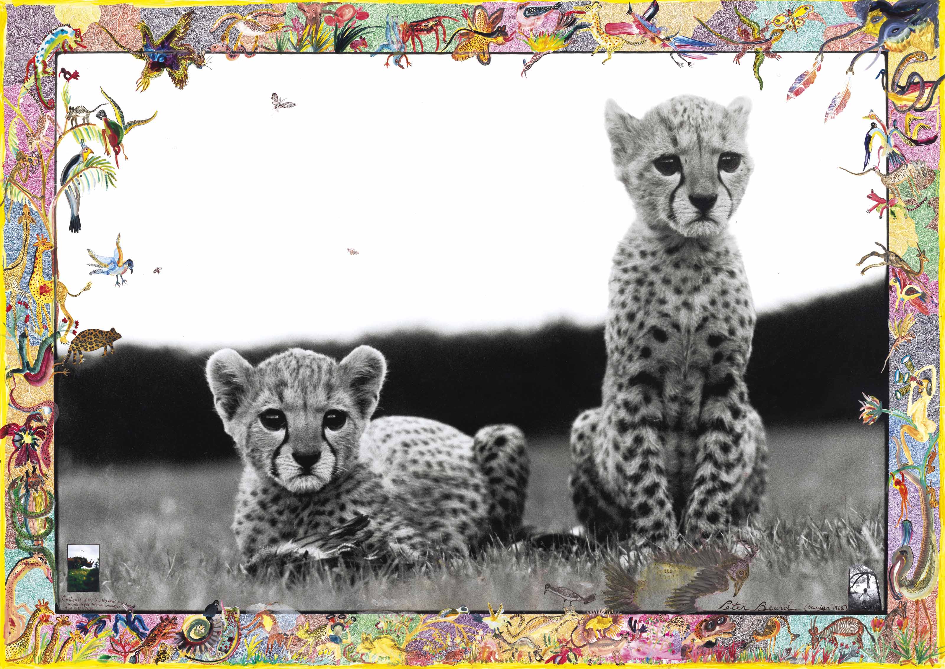 【Peter Beard 2010 Calendar】 Peter Beard Peter Beard: Into the Wild | Barnebys Magazine