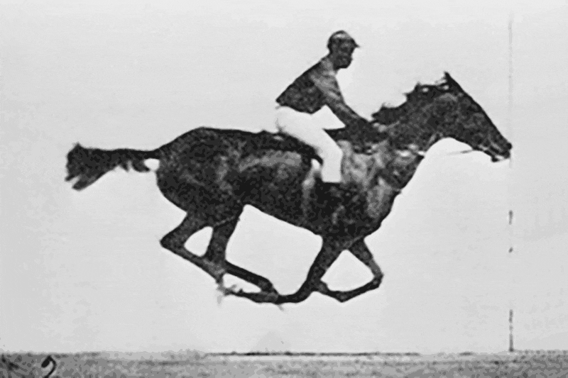 Animation sequence of galloping racehorse. Photos taken by Eadweard Muybridge (died 1904), published in 1887 in Philadelphia under the title Animal Locomotion. Photo public domain 